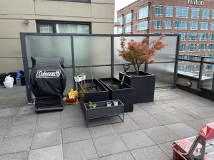 roof top terrace with original concrete deck tiles